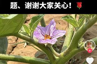 掩面而泣！萨尔第31分钟因伤无法坚持，被斯基普换下后掩面离场